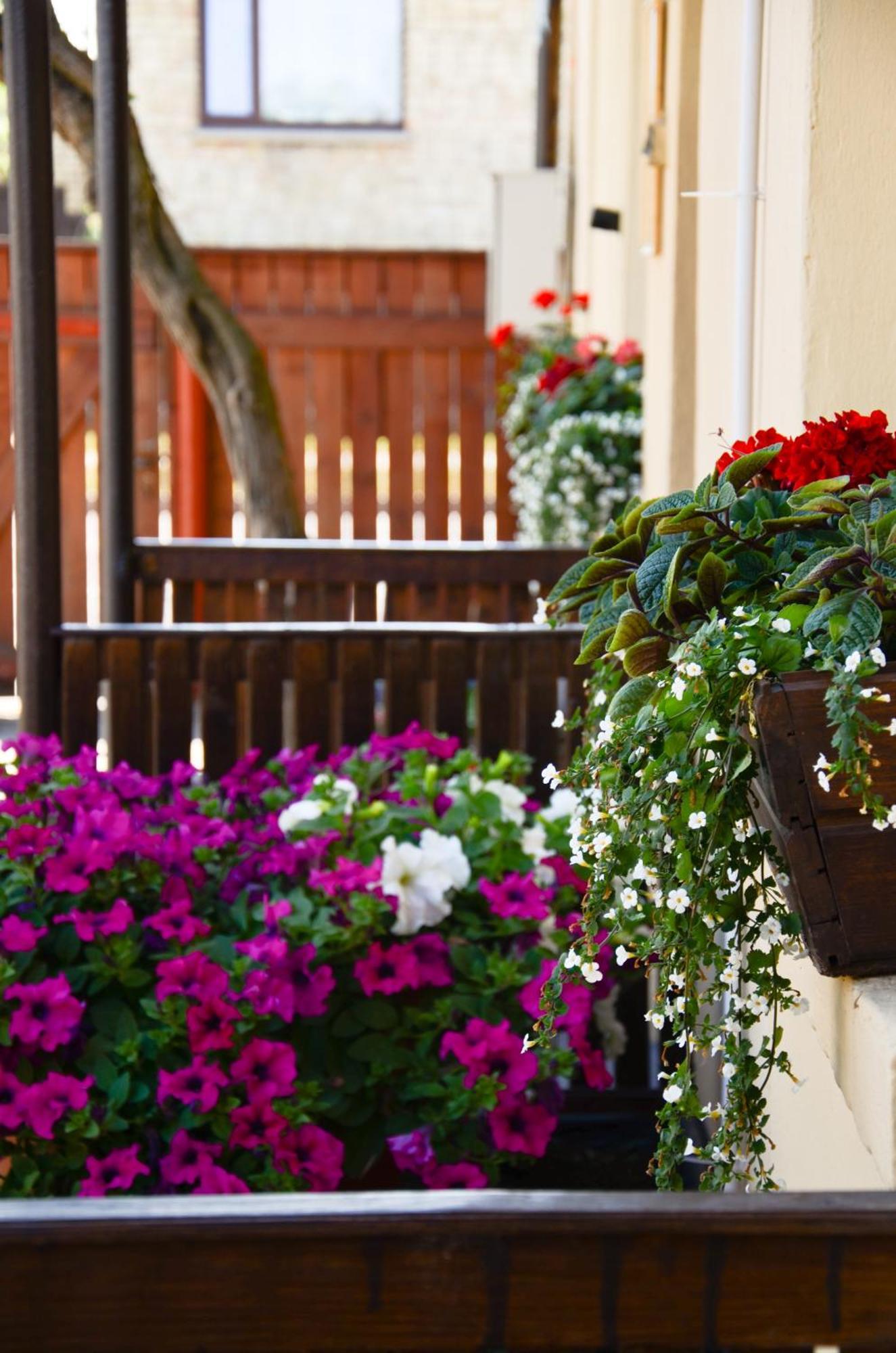 Hotel Veldzes Nams Ventspils Exterior foto